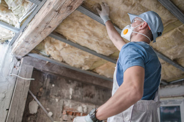 Best Insulation for Specific Applications in Dundee, MI