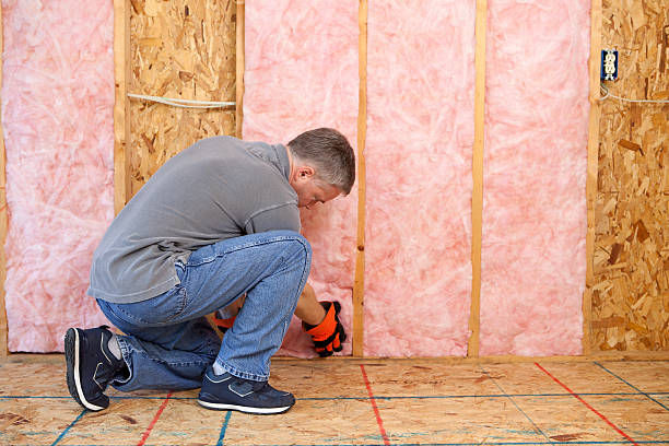 Best Residential Insulation in Dundee, MI